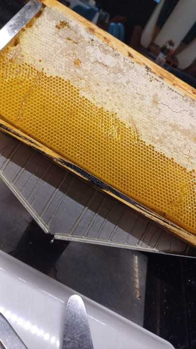 Gastro J'adore Deluxe Hotel & Spa