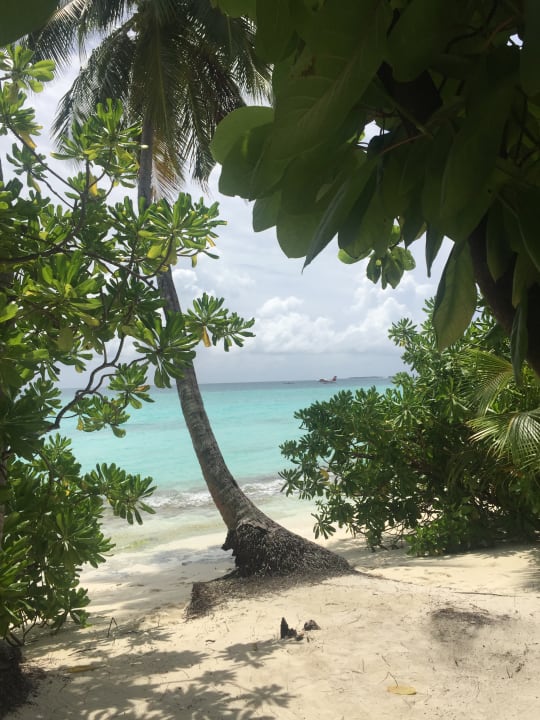 Strand Kuramathi Maldives