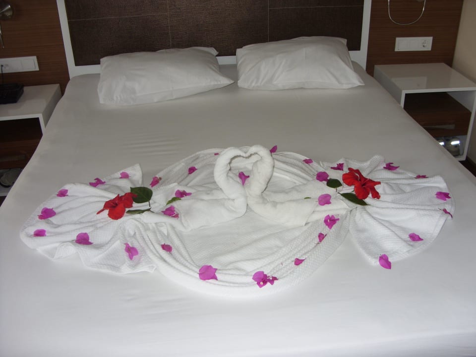 Ein paar Tage später My Home Resort