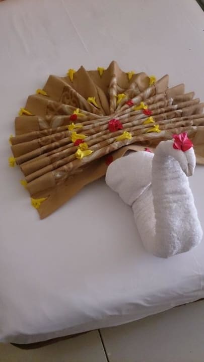 Pfau Jaz Dar EL Madina