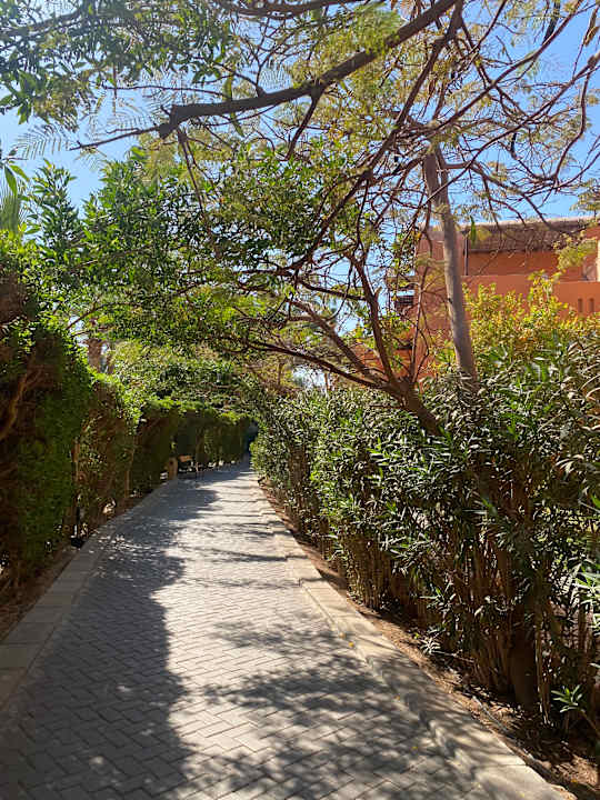 Gartenanlage Jaz Makadi Oasis Resort