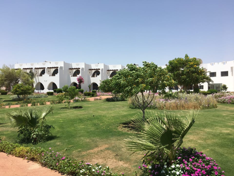 Gartenanlage Three Corners Equinox Beach Resort