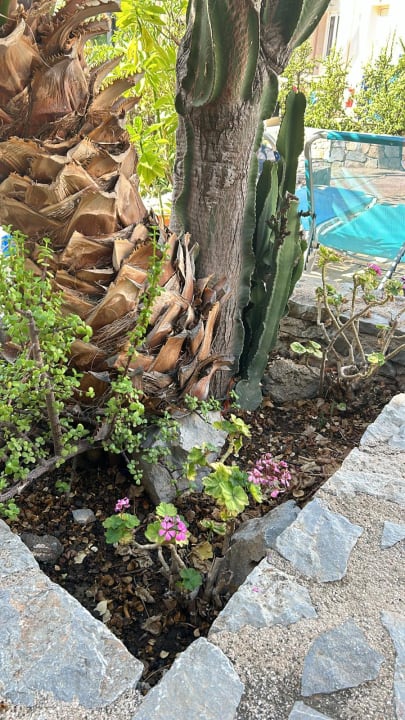 Gartenanlage St Constantin Hotel
