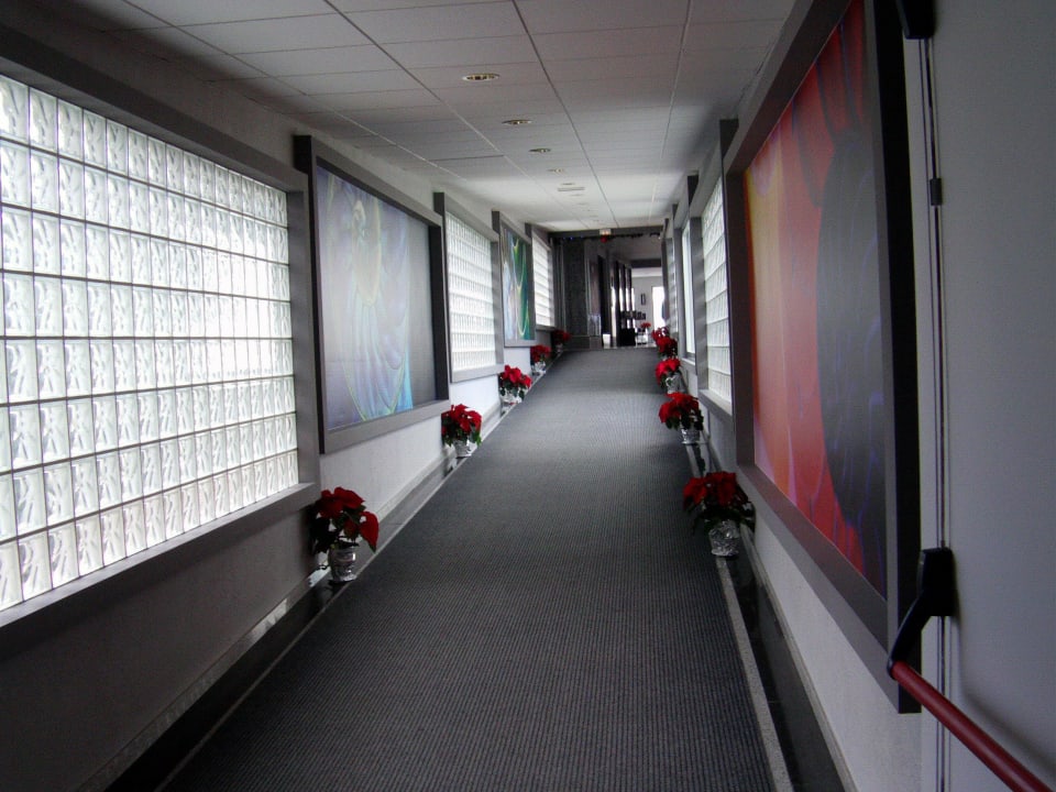 Gang zwischen den beiden Hotelgebäuden  Hotel Riu Nautilus - Adults only