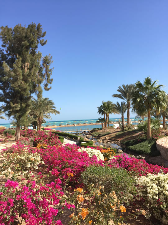 Außenansicht Mövenpick Resort & Spa El Gouna