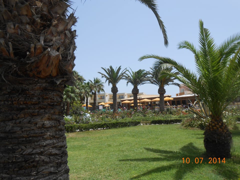 Blick vom Garten auf die Restaurantterrasse Delfina Tropic Beach