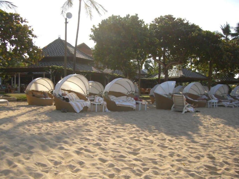 Strandmuscheln am Hotelstrand The Westin Resort Nusa Dua, Bali