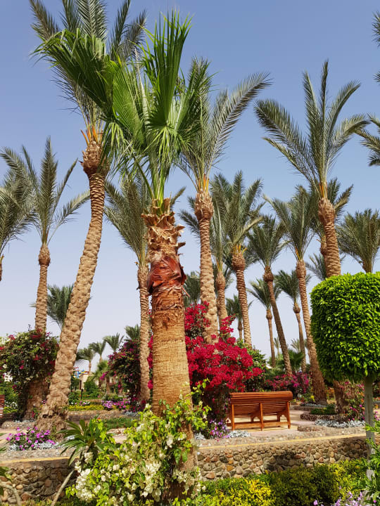 Gartenanlage Le Jardin Aqua Park Resort