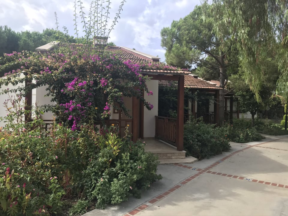 Zimmer Kustur Club Holiday Village