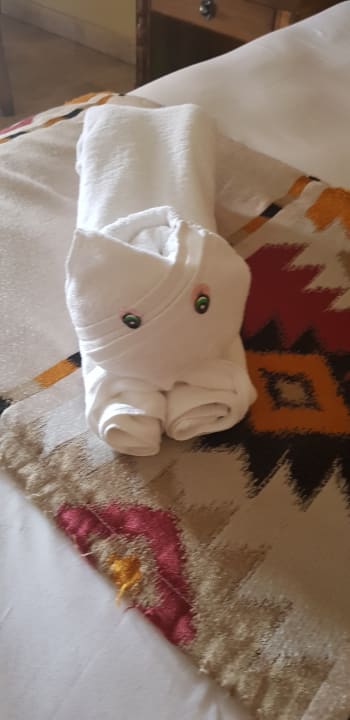 Zimmer Iberostar Waves Paraiso Beach