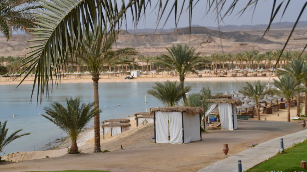 Blick zum Strand Steigenberger Coraya Beach - Adults only