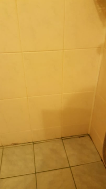 Zimmer Parkhotel Continental