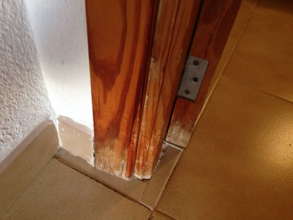 Türzarge Globales Bouganvilla