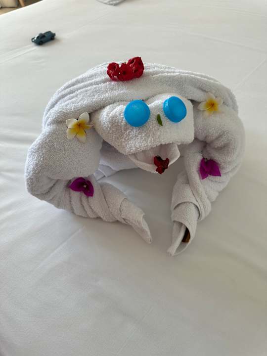 Zimmer JAZ Elite Asteria