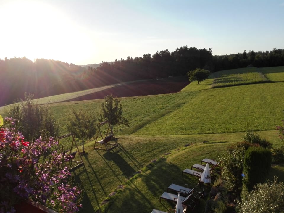 Ausblick Landhotel Talblick