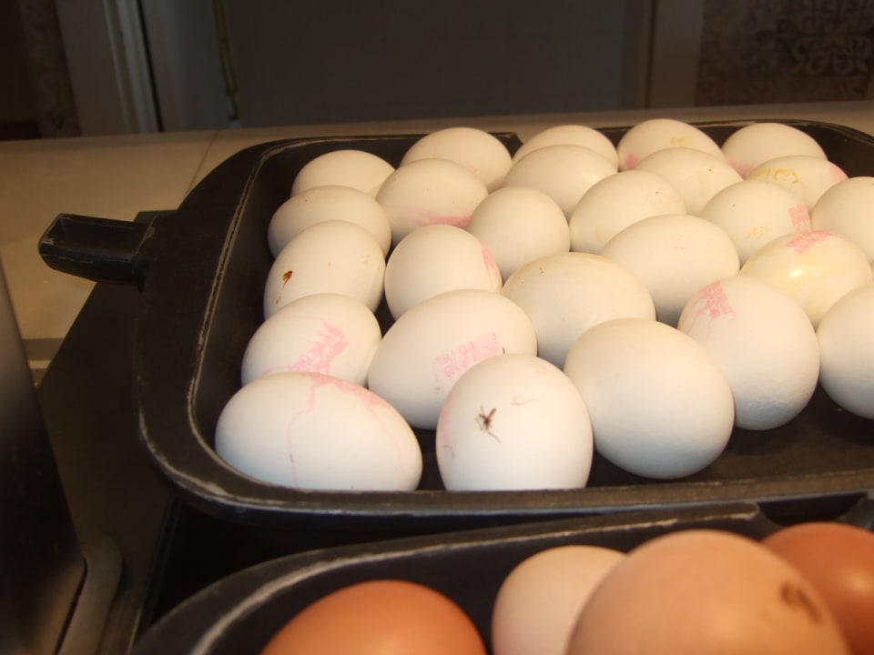 Restaurant Alcudia Garden Aparthotel