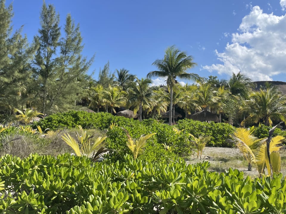 Gartenanlage Grand Palladium Select Costa Mujeres - All Inclusive