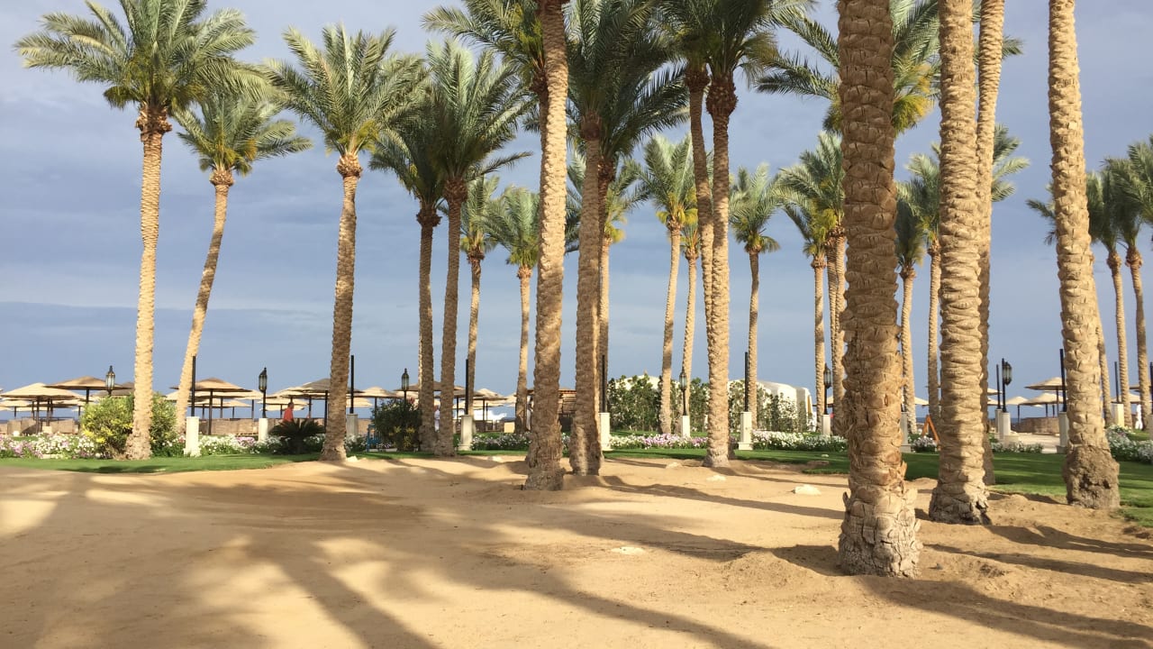 Gartenanlage Makadi Spa - Adults only