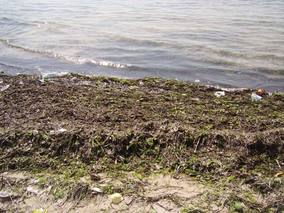 Hotel Marhaba Royal Salem Marhaba Royal Salem