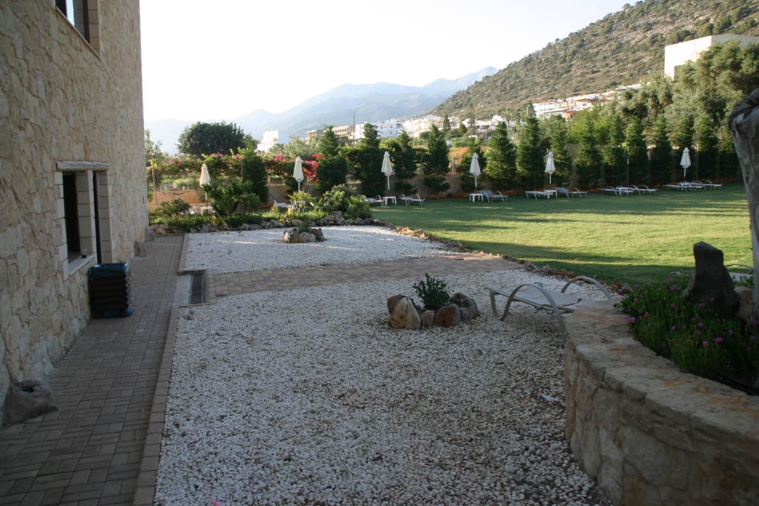 Liegewiese Cactus Royal