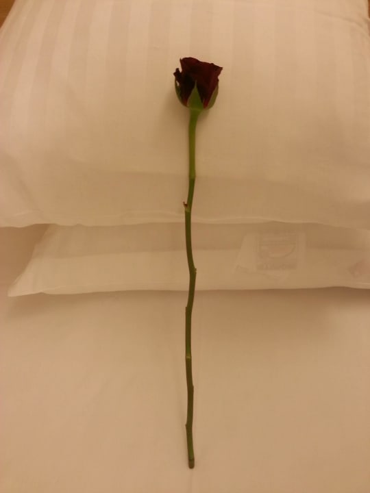 Valentine Day Surprise Four Points by Sheraton Panoramahaus Dornbirn