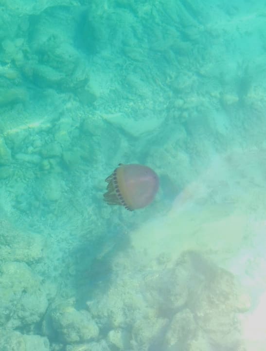 Strand Summer Island Maldives