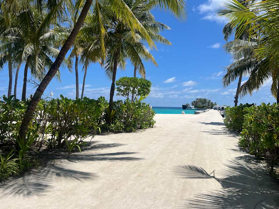 Lobby Kuredu Island Resort & Spa