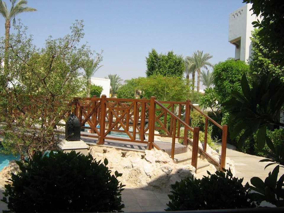 Blick vom Zimmer aus  Ghazala Gardens