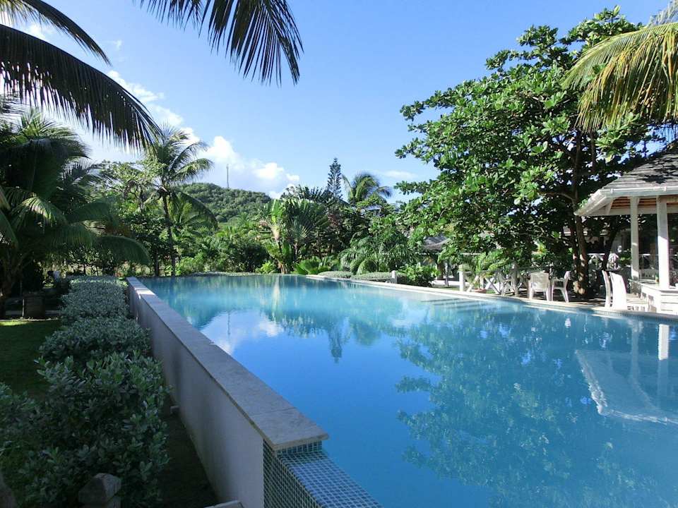 Pool an der Bar Hotel Coconut Beach Club