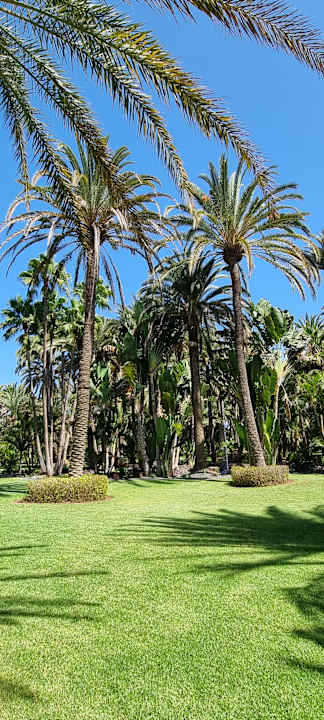 Gartenanlage Hotel Riu Palace Oasis