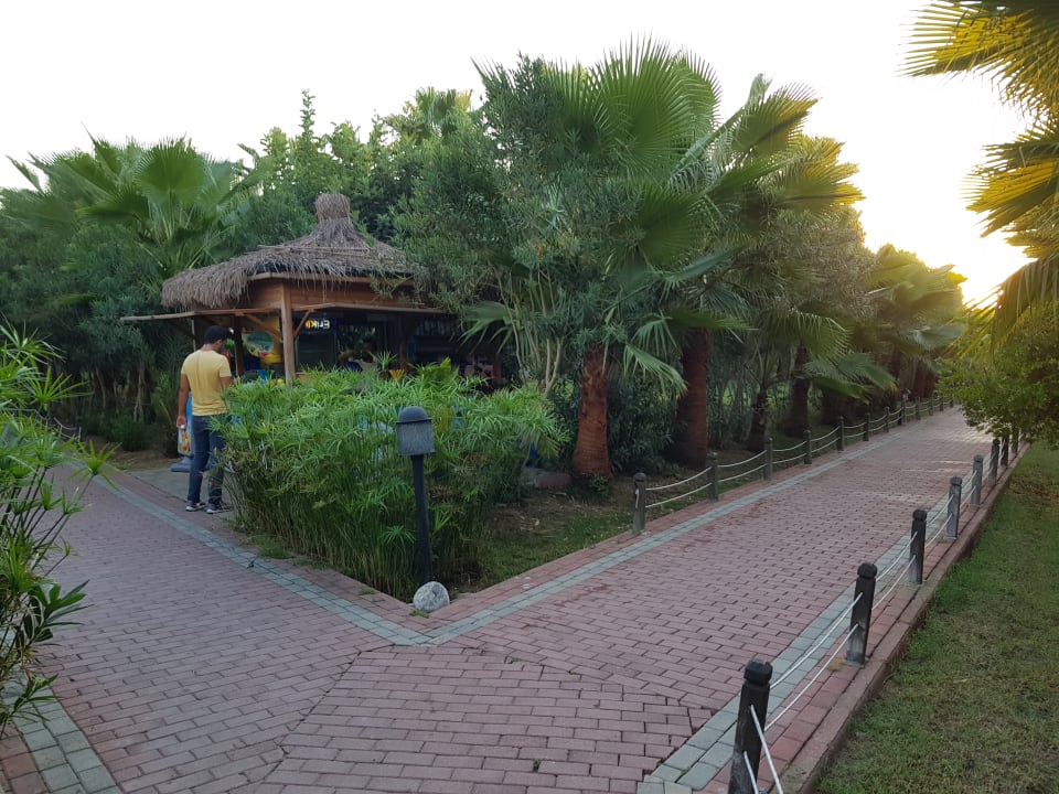 Gartenanlage Seaden Sea World Resort & Spa