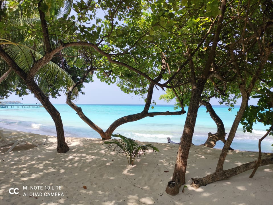 Strand Kuramathi Maldives