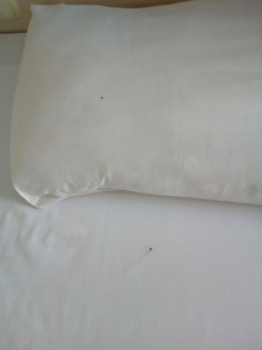 Zimmer Hotel Orfeus Park