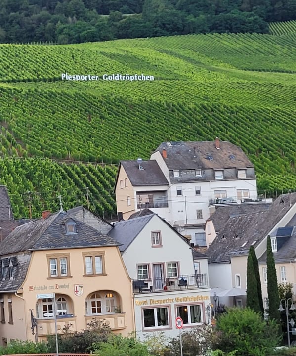 Außenansicht Hotel Piesporter Goldtröpfchen