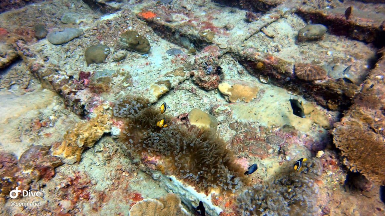 Sport & Freizeit Centara Ras Fushi Resort & Spa Maldives