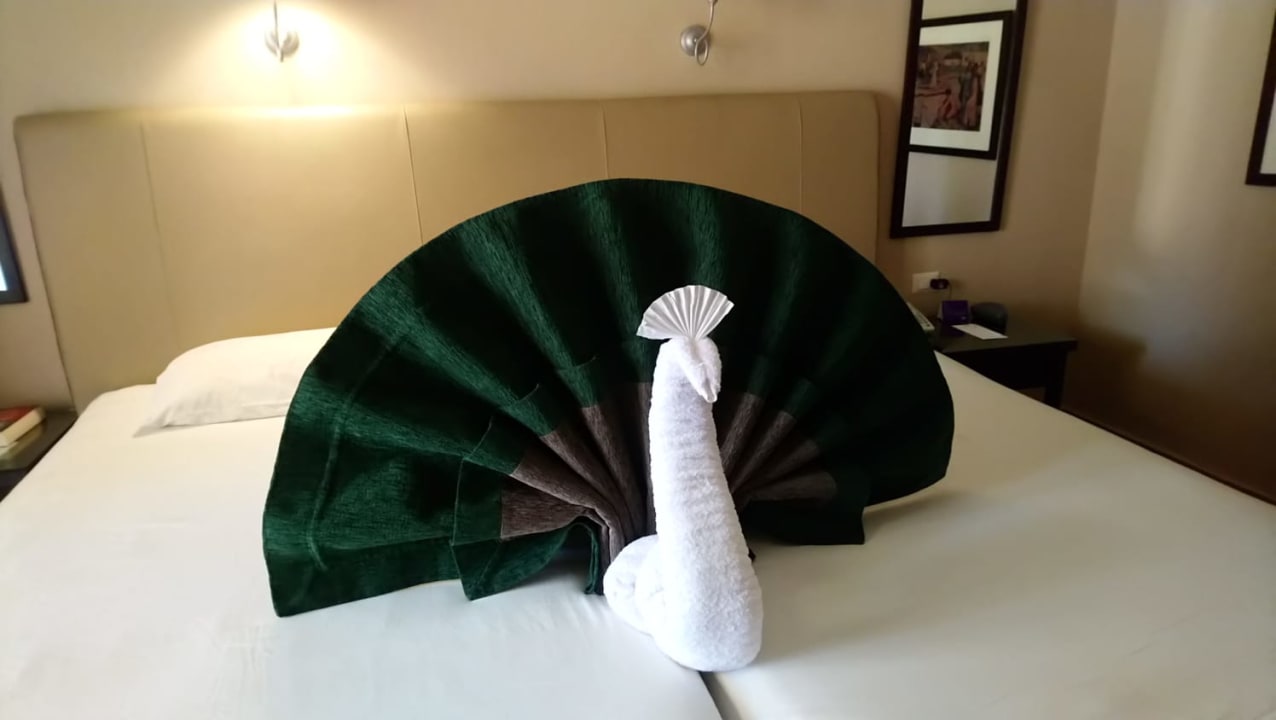 Zimmer Jaz Makadina