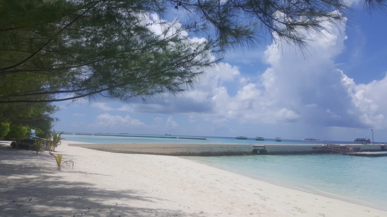 Strand Summer Island Maldives