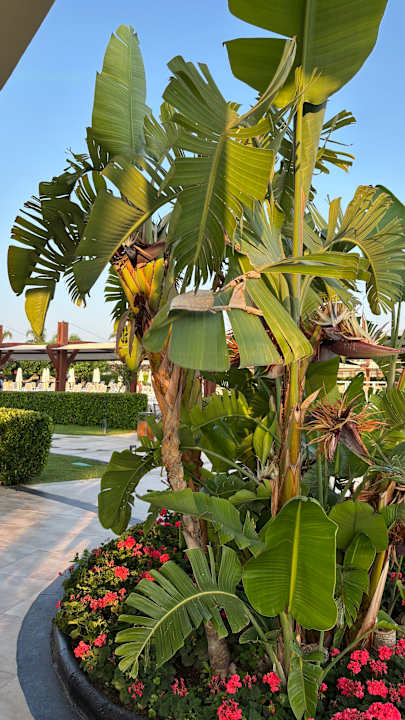 Außenansicht Hotel Baia Lara