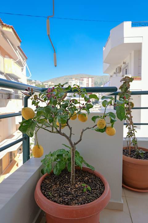 Zimmer Emiljano Apartment