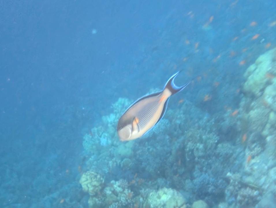 Strand Diamond Beach by Pearl Resort