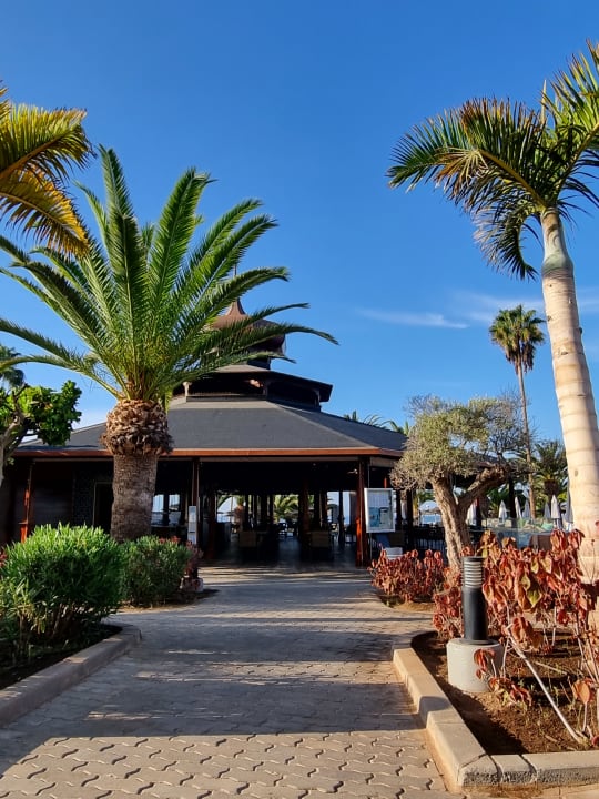 Gartenanlage Hotel Riu Palace Tenerife