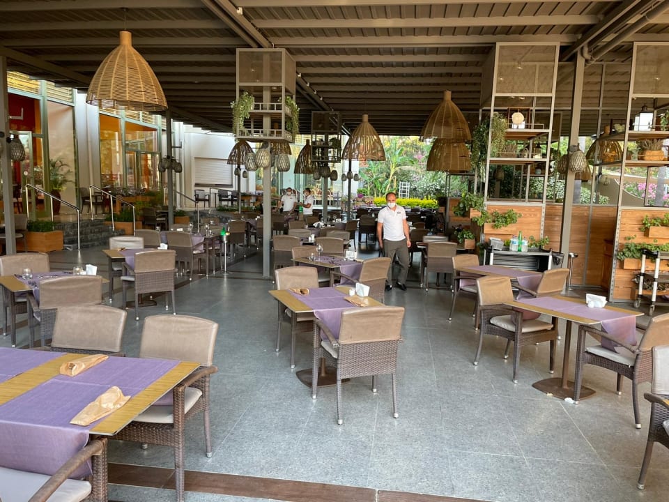 Gastro Arum Barut Collection