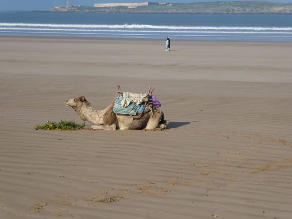 Strand Hotel Riad Zahra