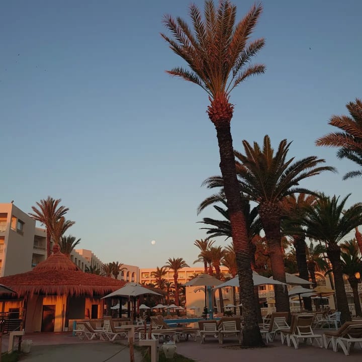 Ausblick Hotel Marhaba Club