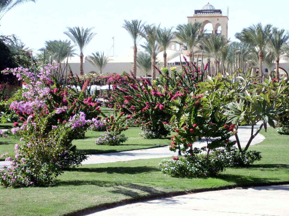 Schöne Blütenpracht Stella Garden Resort & Spa, Makadi Bay