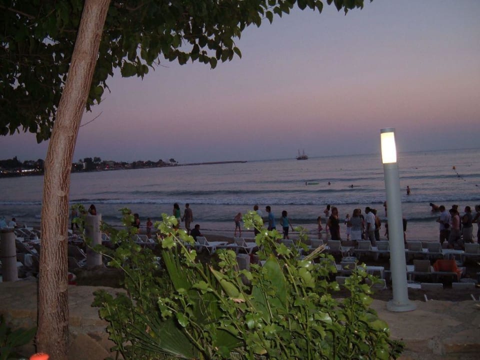 Der Ausblick Özlem Garden Hotel