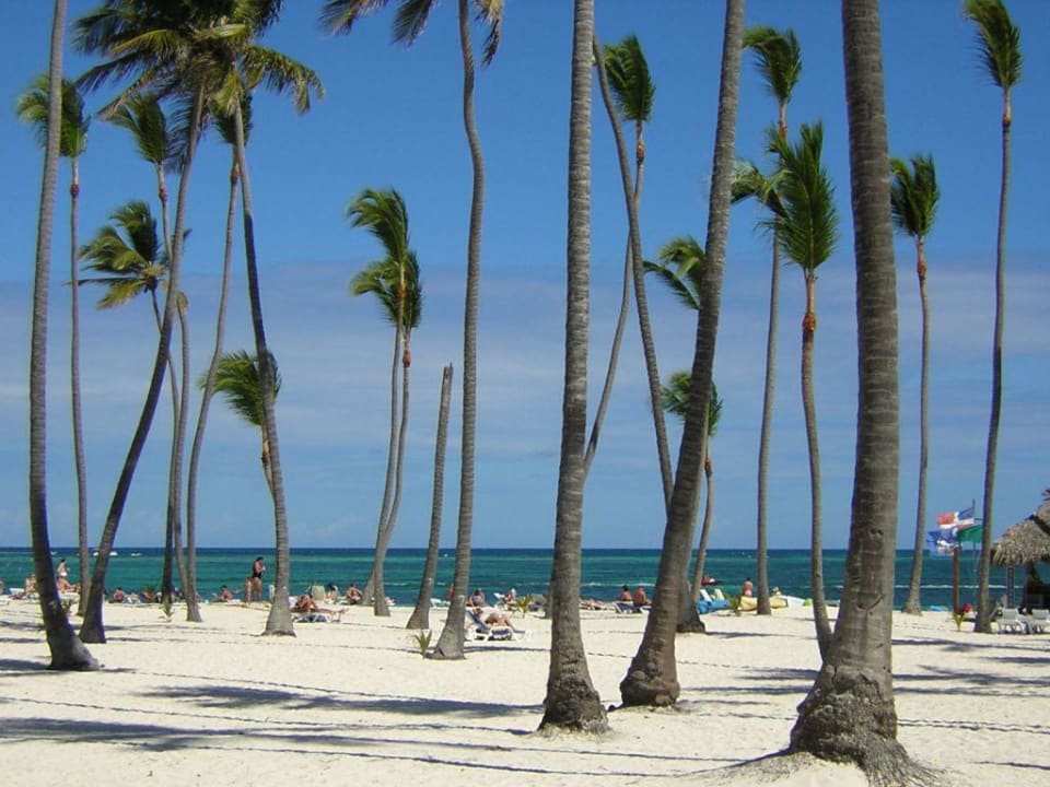 Strand am Hotel Villas Bavaro Resort & Spa