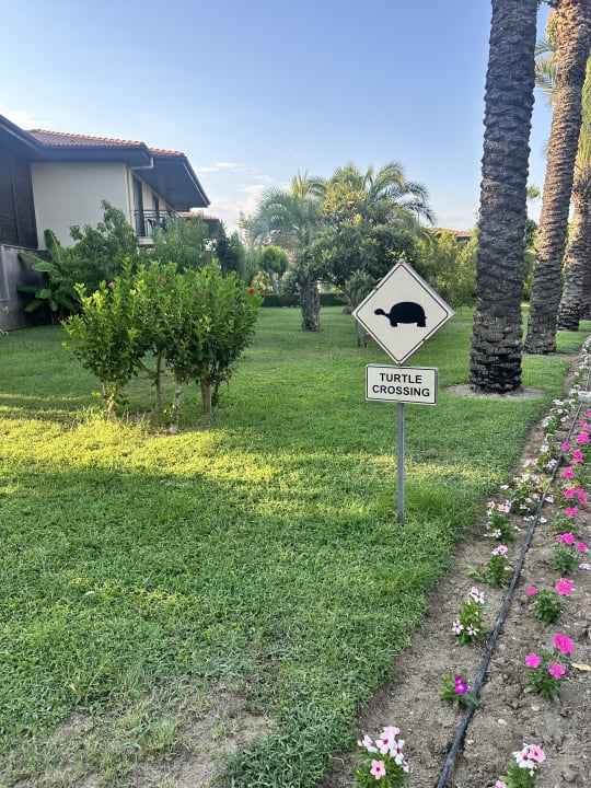 Außenansicht TUI BLUE Palm Garden