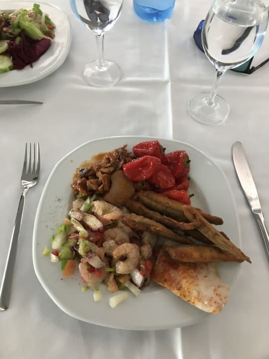 Gastro 4R Gran Europe
