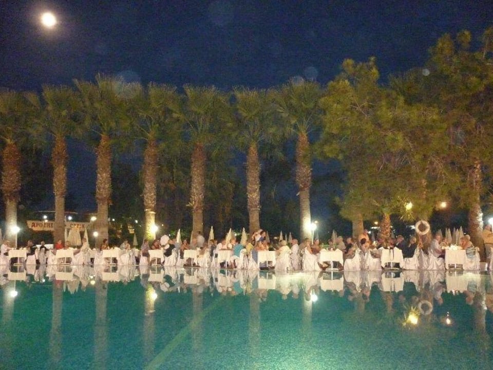 Galadiner Asteria Collection Side